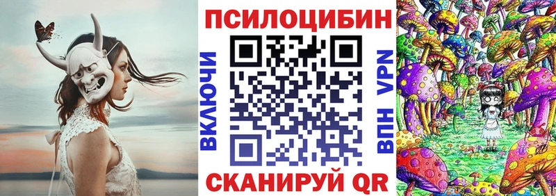 Купить где  Советск  Псилоцибиновые грибы Cubensis 